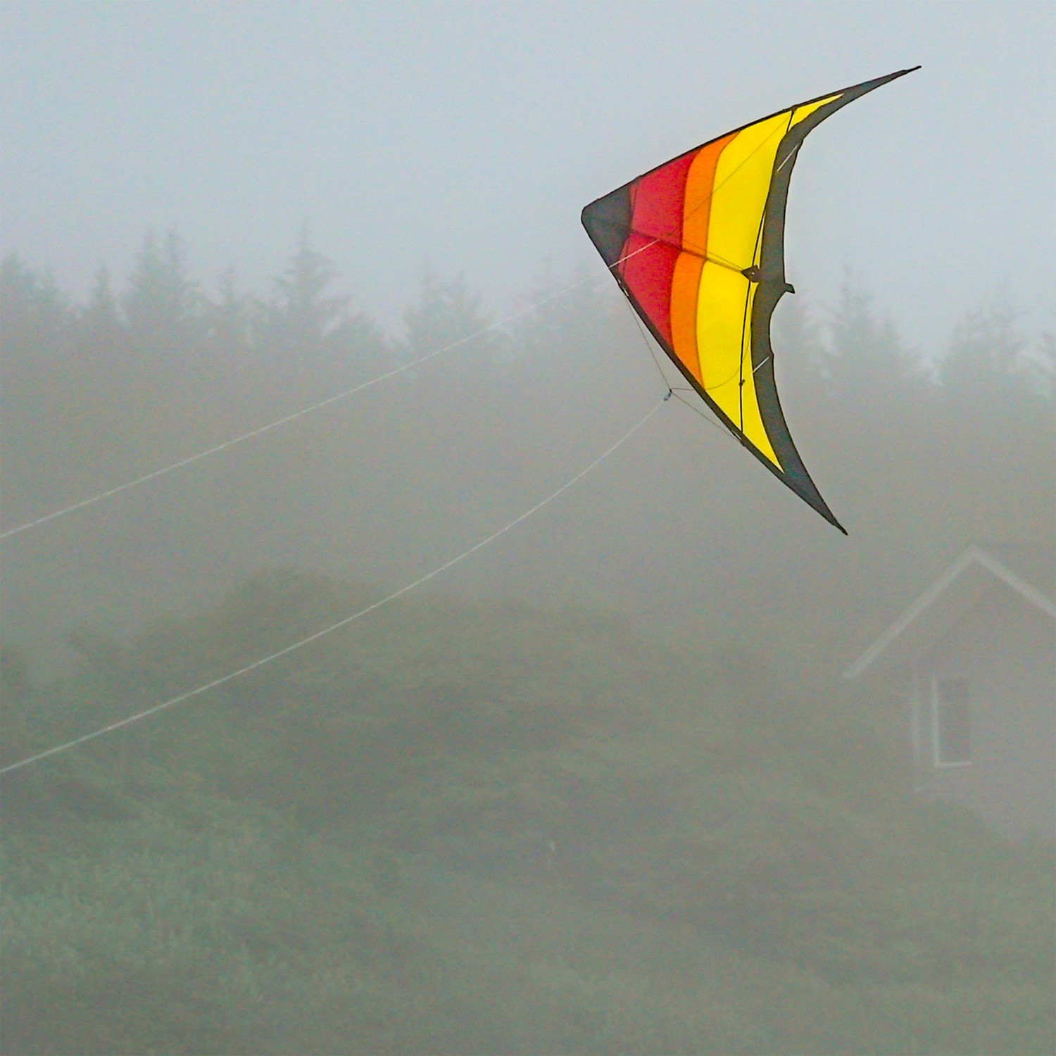 Sunset 55 inch Sport Kite | In the Breeze | Wholesale Garden Décor