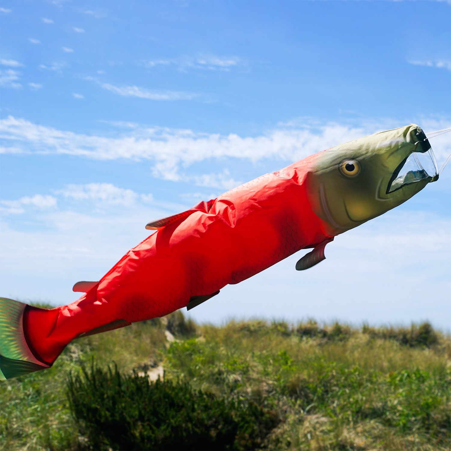 Sockeye Salmon 48