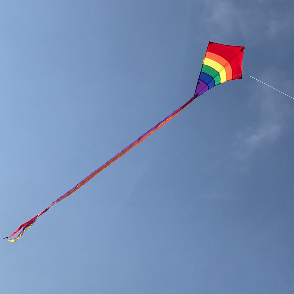In the Breeze Rainbow 27 Inch Diamond Kite Single Line Ripstop Fabric 