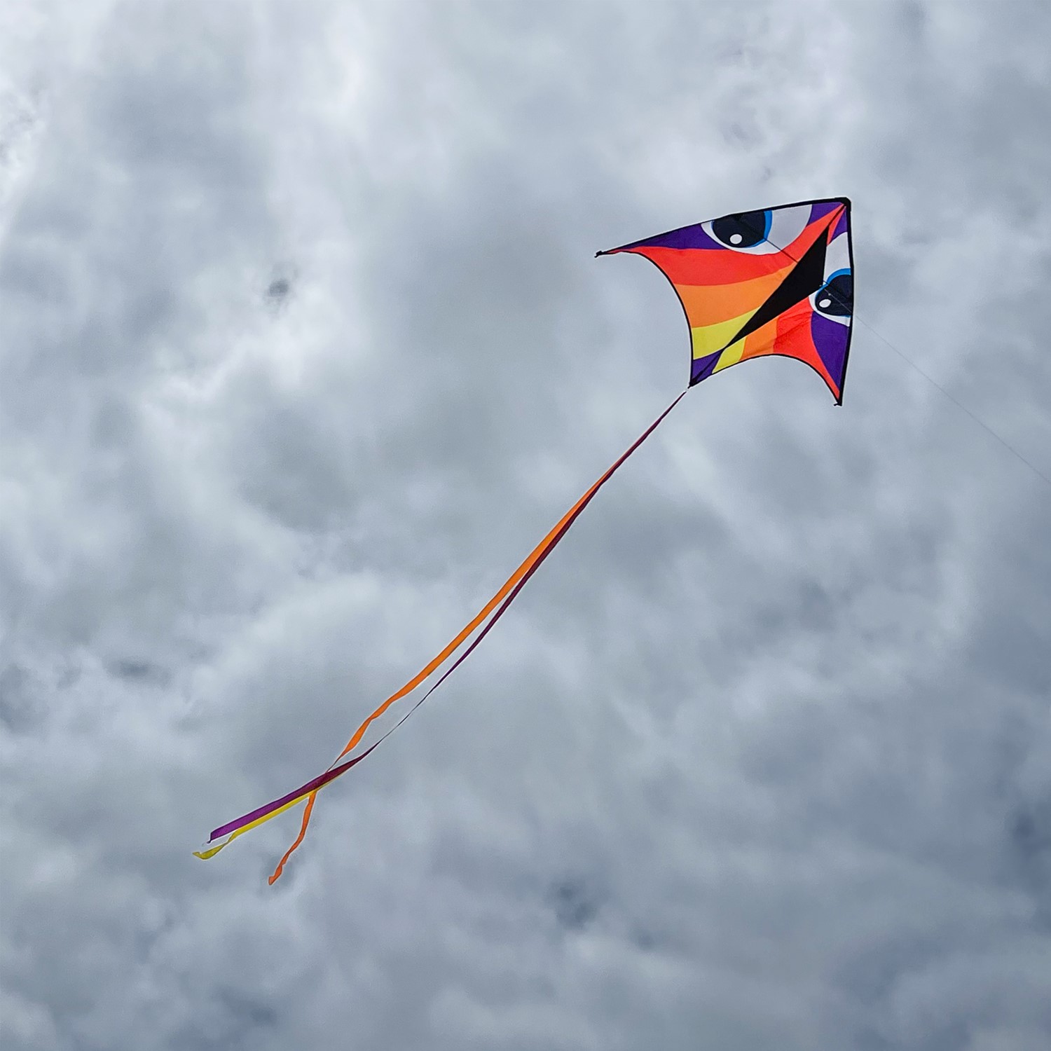 Manu Aurora 72
