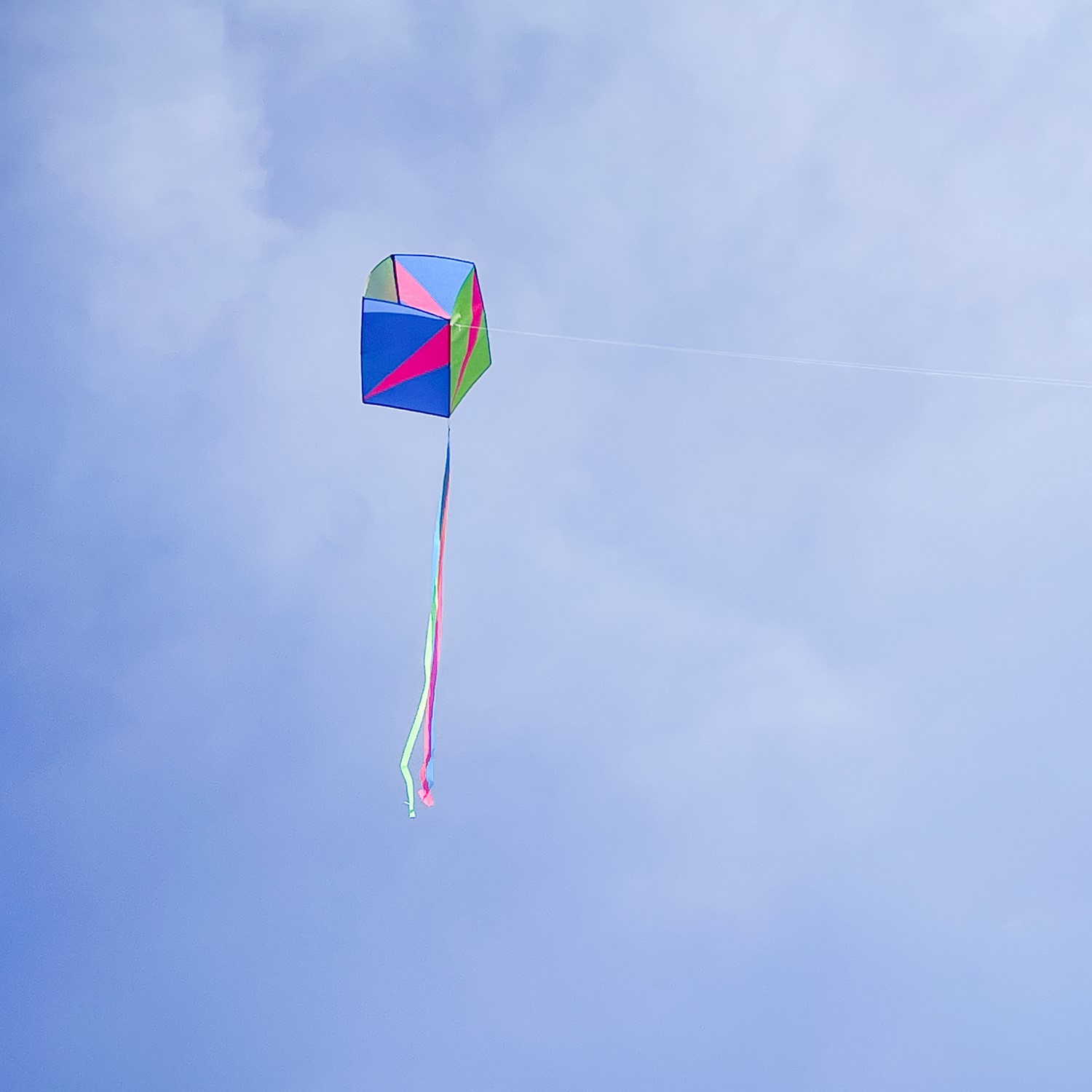 その他 FRIENDS OF THE WINDS KITE CATALOG Vol. 1 61qETWFPmnL._UF350,350_QL50_.jpg