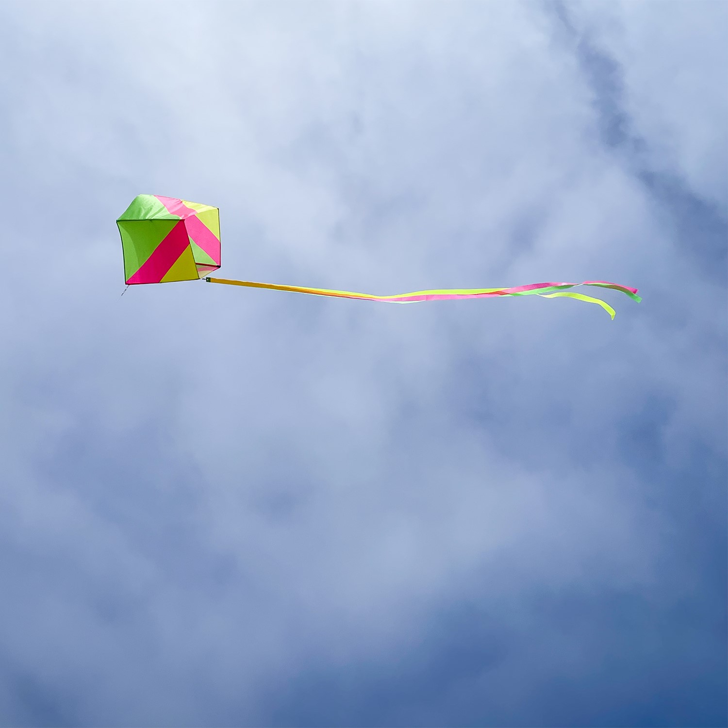 Neon Single Box Kite | In the Breeze | Wholesale Garden