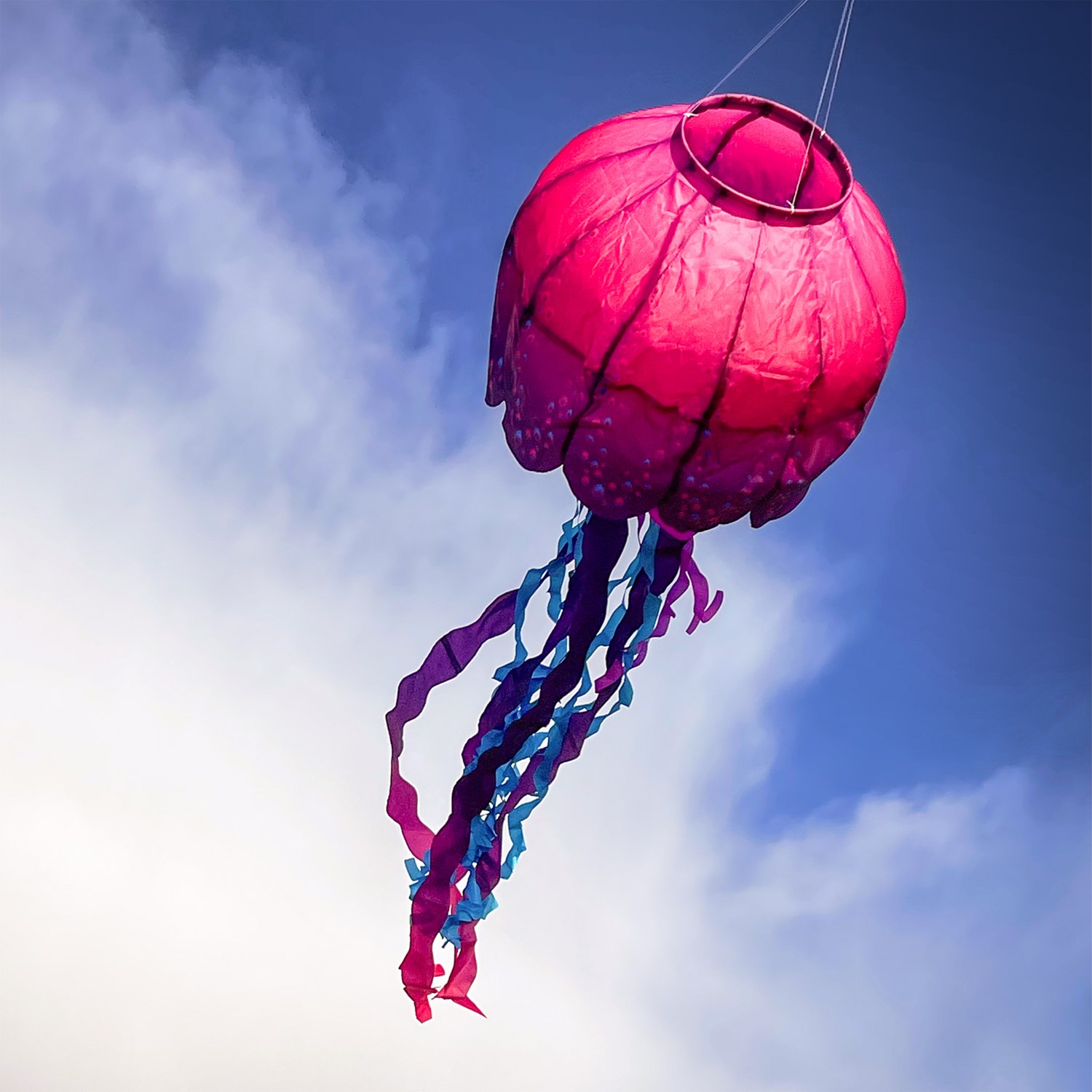 Jellyfish Big Breeze Windsock | Wholesale Garden Decor | In the Breeze