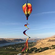 In the Breeze Hot Stripe Hot Air Balloon 1016 View 2