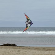 In the Breeze The Skunk 48" Sport Kite 1025 View 2