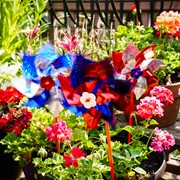 In the Breeze Patriotic Mylar Pinwheels - 8 PC 2863 View 2