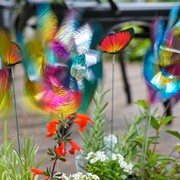 In the Breeze Rainbow Whirl Mylar Pinwheels - 8PC 2868 View 2