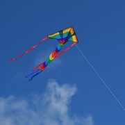 In the Breeze Rainbow Arrow Fly-Hi Kite 2906 View 2