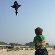 In the Breeze 6' 3D Shark Kite 2966 View 2