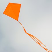 In the Breeze Orange Colorfly 30" Diamond Kite 2989 View 2