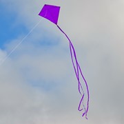 In the Breeze Purple Colorfly 30" Diamond Kite 2993 View 2