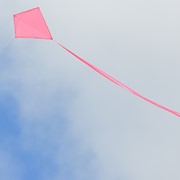In the Breeze Pink Colorfly 30" Diamond Kite 2994 View 2