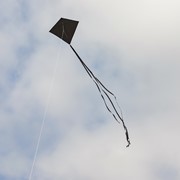 In the Breeze Black Colorfly 30" Diamond Kite 2996 View 2