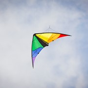 In the Breeze Colorwave 48" Sport Kite 3002 View 2