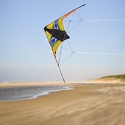 In the Breeze Groovy Stunter 48" Sport Kite 3003 View 2