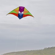 In the Breeze Rainbow 6' Conyne Delta Kite 3011 View 2