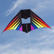 In the Breeze Rainbow Burst 6' Conyne Delta Kite 3037 View 2