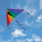 In the Breeze Rainbow 7' Delta Combo Kite 3087 View 2