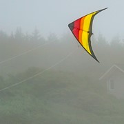 In the Breeze Sunset 55" Sport Kite 3109 View 2