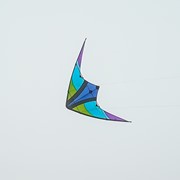 In the Breeze Kai 63" Sport Kite 3110 View 2