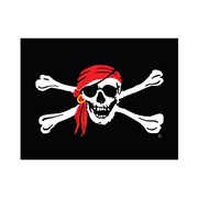 In the Breeze I'm a Jolly Roger 40" Windsock 4103 View 2