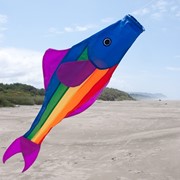 In the Breeze Rainbow Fishy 48" Fishsock 4116 View 2