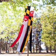 In the Breeze Maryland 40" Windsock 4179 View 2