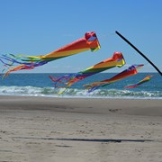In the Breeze 48" Rainbow Spinsock 4221 View 2