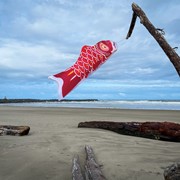 In the Breeze 24" Red Koi 4777 View 2