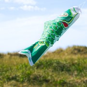 In the Breeze 24" Green Koi 4779 View 2