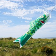 In the Breeze 36" Green Koi 4785 View 2