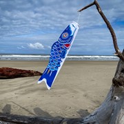 In the Breeze 36" Blue Koi 4786 View 2