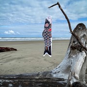 In the Breeze 36" Black Koi 4788 View 2