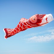 In the Breeze 60" Red Koi 4789 View 2