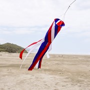 In the Breeze Patriot Diagonal 40" Windsock 4795 View 2