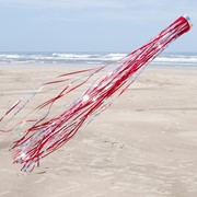 In the Breeze Red 51" Mylar Windsock 9051 View 2