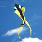In the Breeze Zydeco 77" Wave Delta Kite 3145 View 2