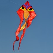In the Breeze Ibis 52" Wave Delta Kite 3152 View 2