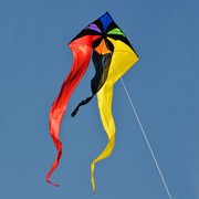 In the Breeze Rainbow Flux 52" Wave Delta Kite 3153 View 2