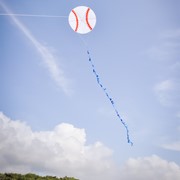 In the Breeze Baseball Kite 3154 View 2