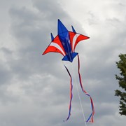 In the Breeze Patriot Jet Kite 3156 View 2