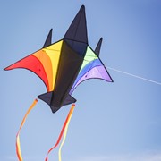 In the Breeze Rainbow Jet Kite 3157 View 2