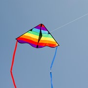 In the Breeze Rainbow Stripe 30" Delta Kite 3192 View 2