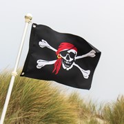 In the Breeze I'm a Jolly Roger Lustre 12x18 Grommet Flag 3683 View 2