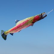 In the Breeze 36" Trout Windsock 4963 View 2