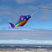In the Breeze 26" Rainbow Trout Windsock 4966 View 2