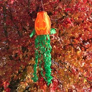 In the Breeze Jack O' Lantern 3D Windsock 4998 View 2