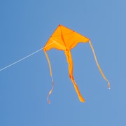 In the Breeze Orange Colorfly 43" Fly-Hi Kite 3209 View 2