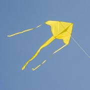 In the Breeze Yellow Colorfly 43" Fly-Hi Kite 3210 View 2
