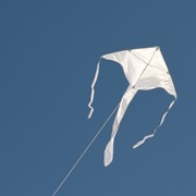 In the Breeze White Colorfly 43" Fly-Hi Kite 3214 View 2